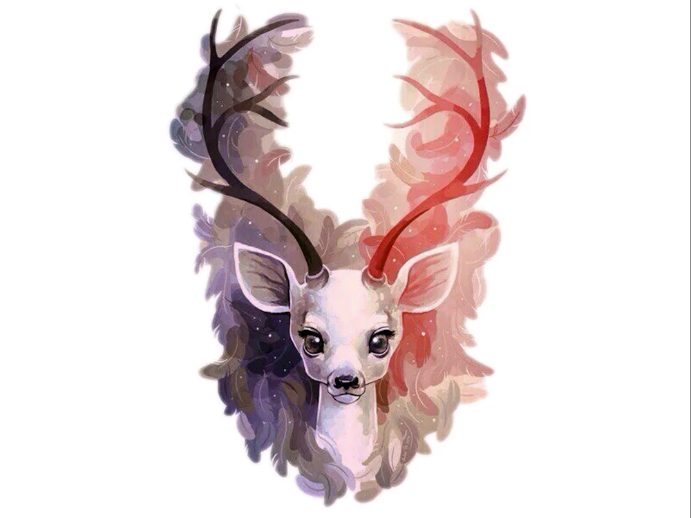 Deer drawing