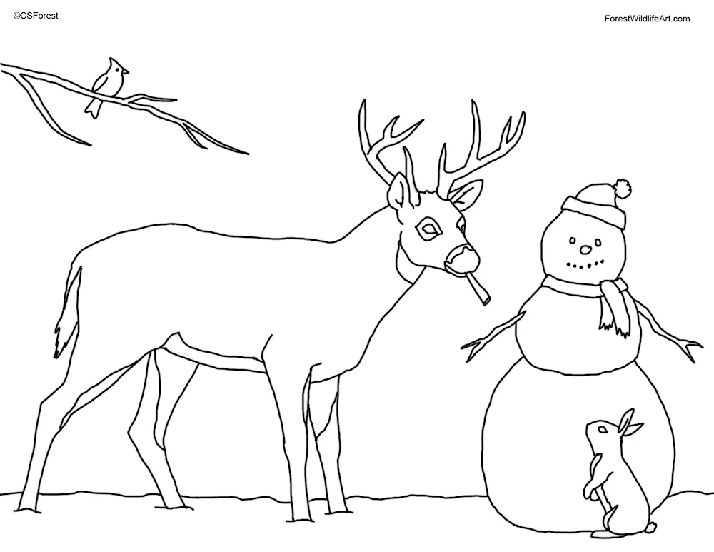 New Year pictures for drawing