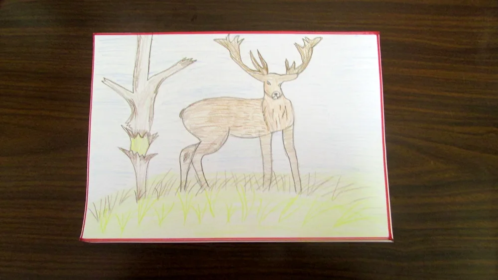 Deer drawing