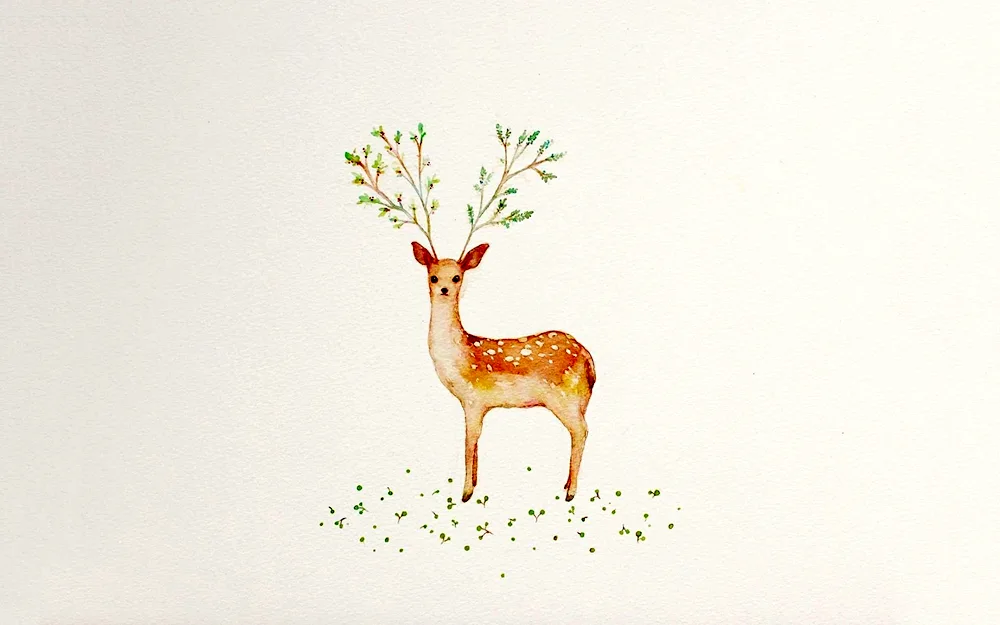 Deer drawing