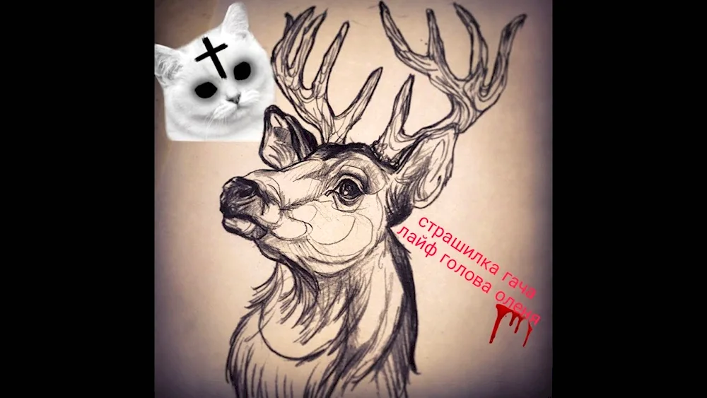 Drawing