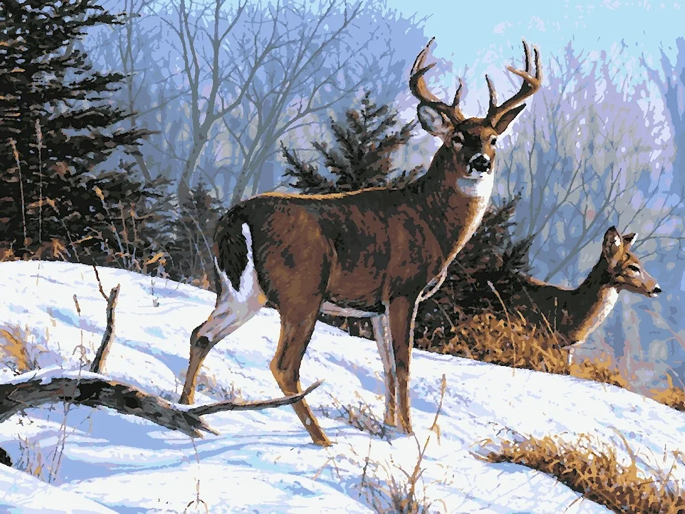 Deer in winter