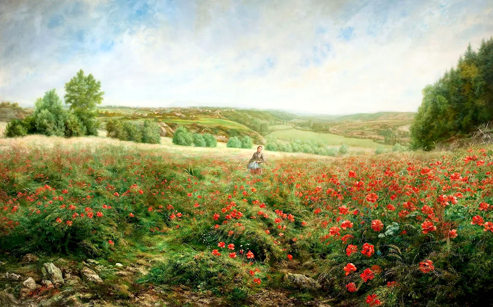 Olga Bazanova Poppy River field