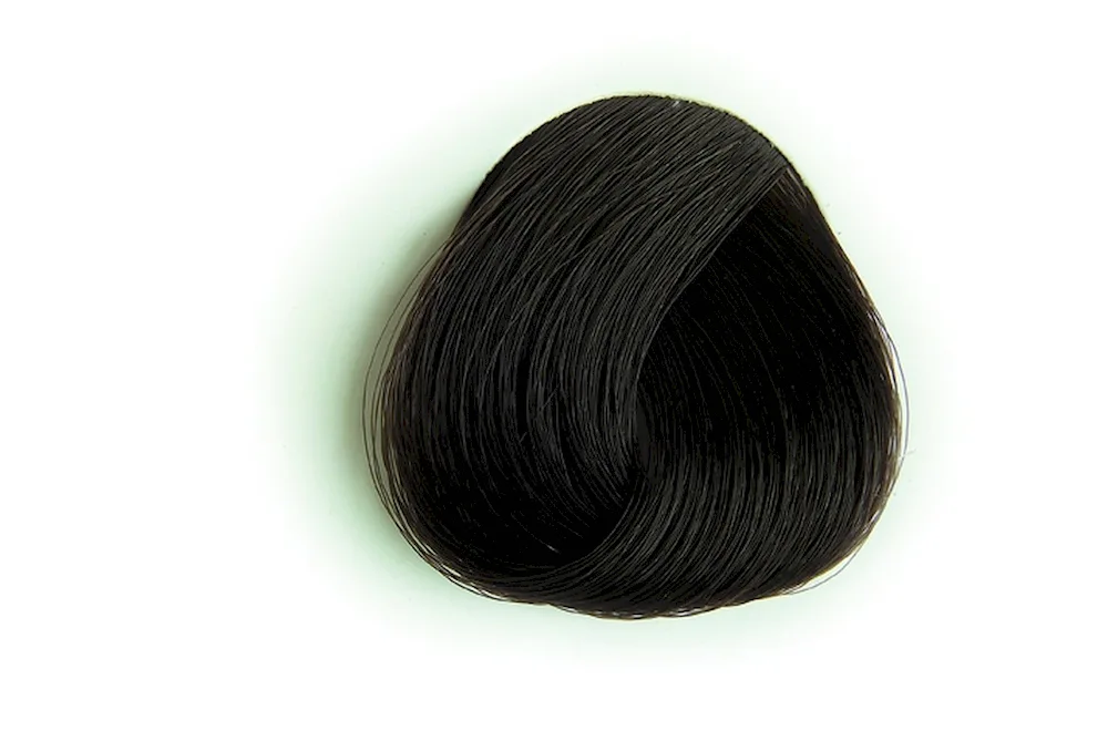 Palitra Goldwell Topchic