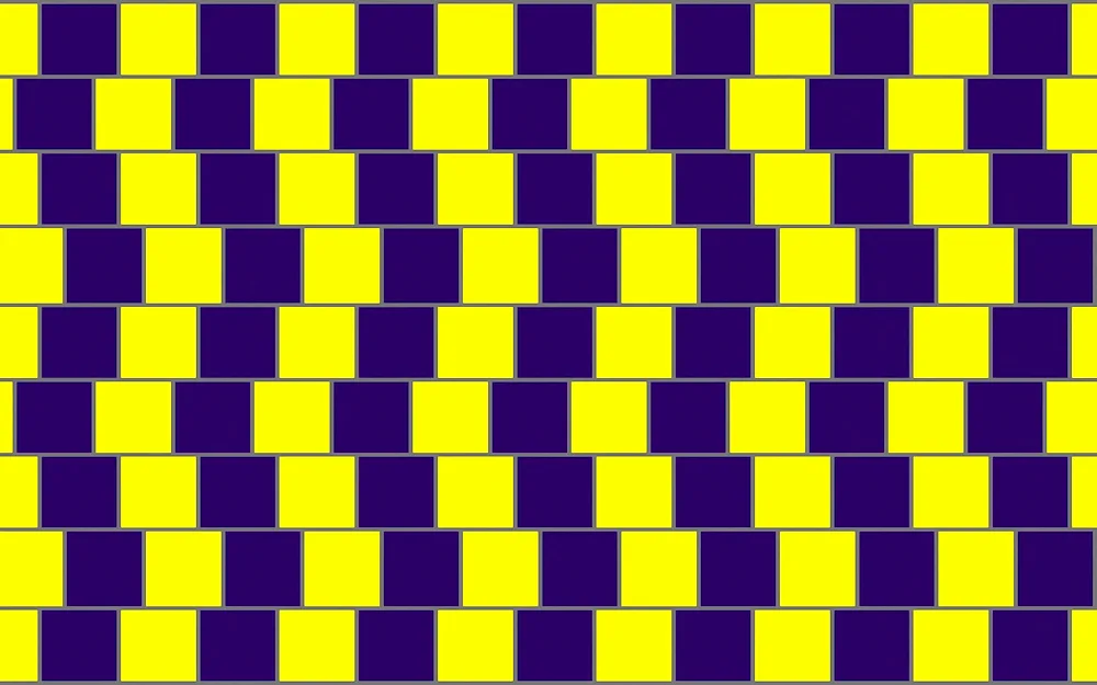 Visual illusions