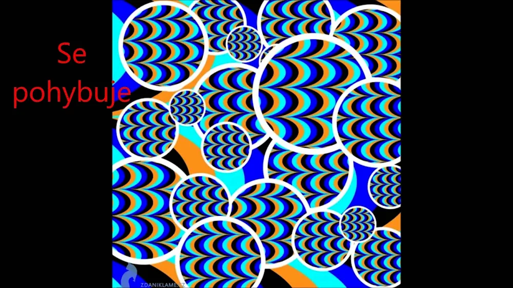 Visual illusions