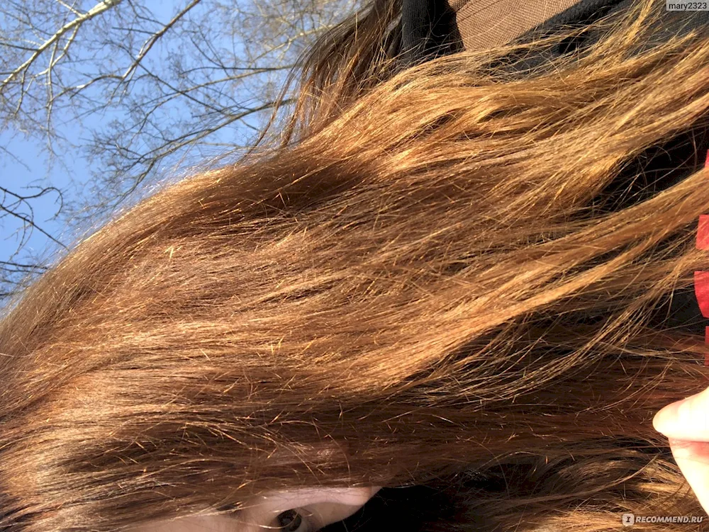 Brunette mocha Matrix