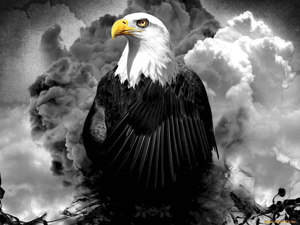 Eagle