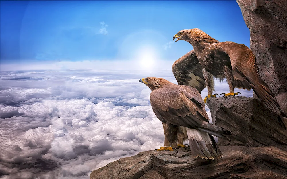 Eagle Berkut of Dagestan