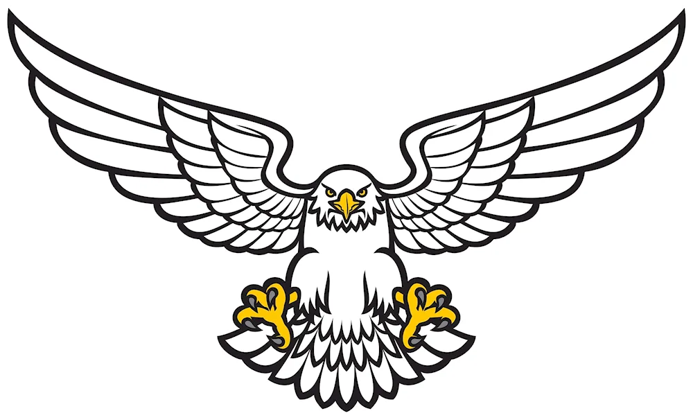 Harpy bird tattoo