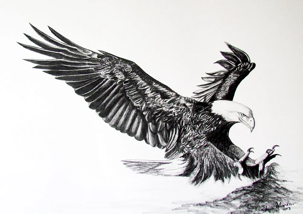 Eagle