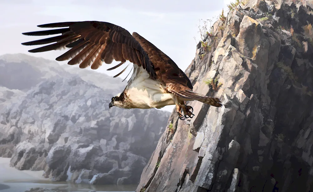 Eagle over the mountains