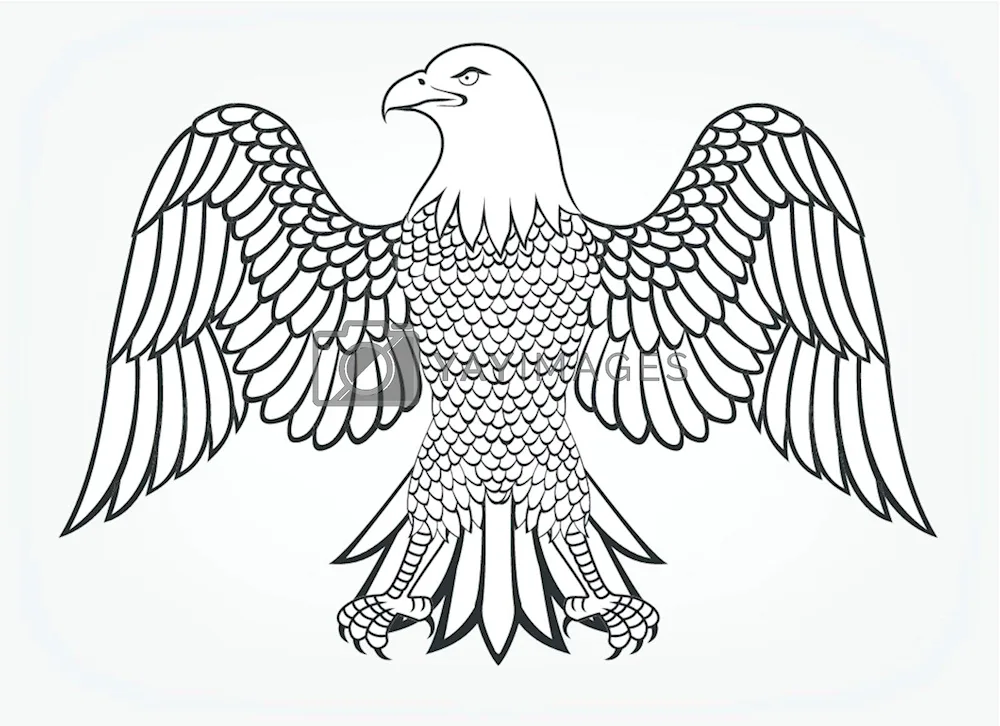 Eagle tattoo
