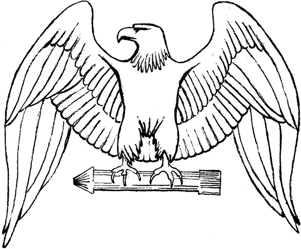 Eagle drawing
