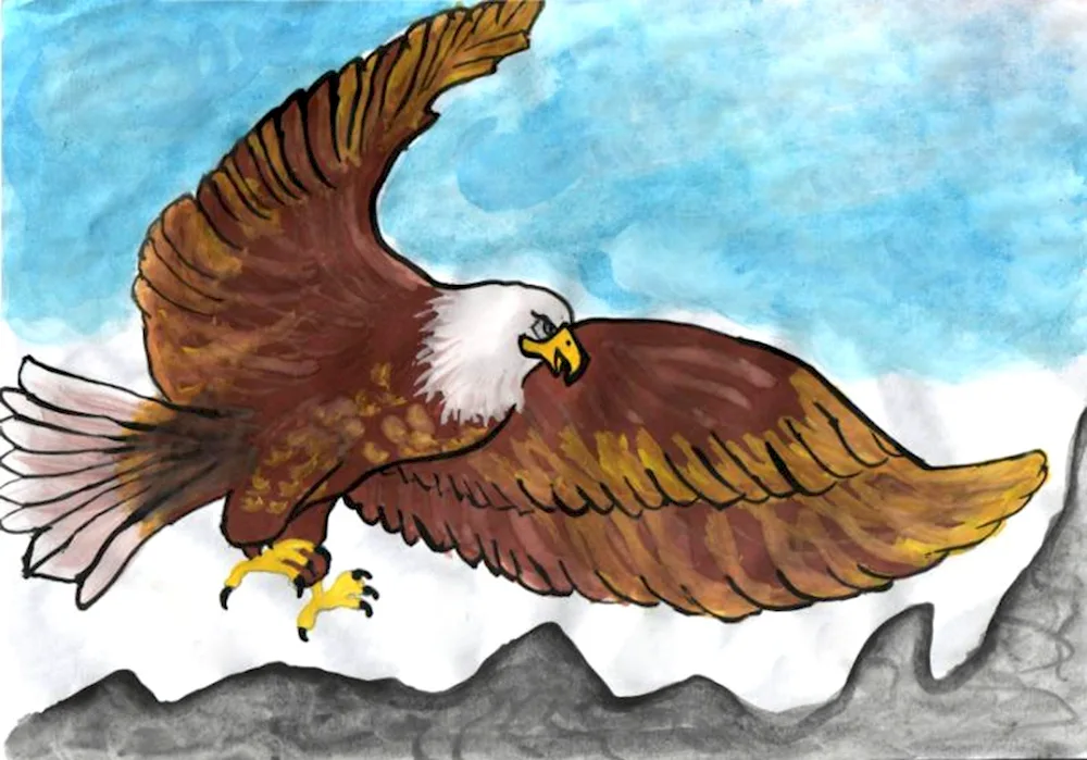 Eagle drawing
