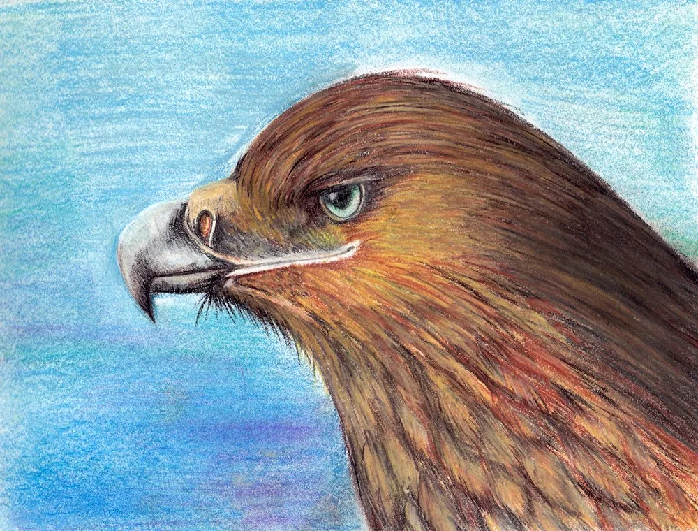 Stylised eagle head