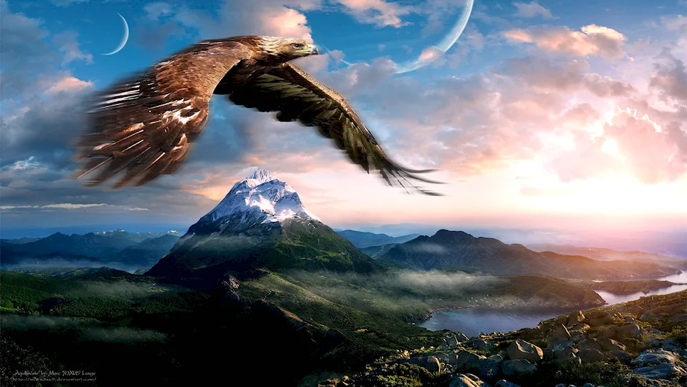 Eagle soaring in the sky