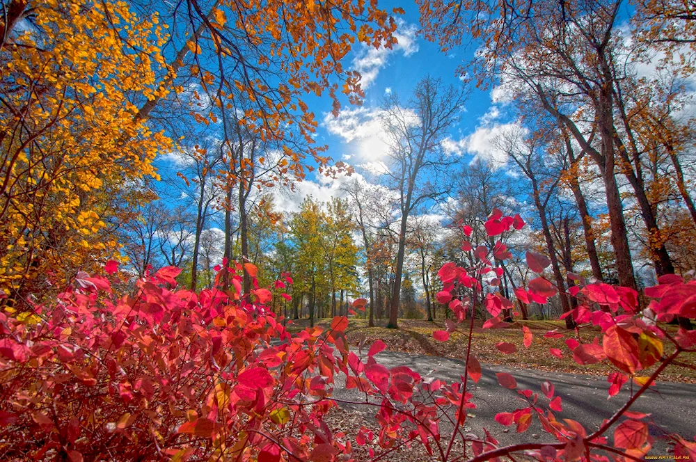 November nature