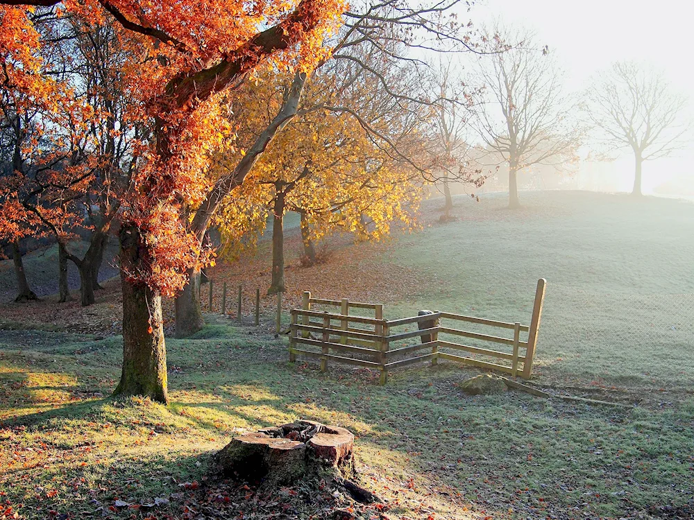 Early winter