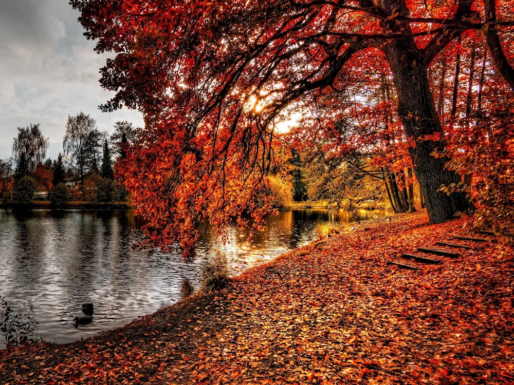 Autumn landscape