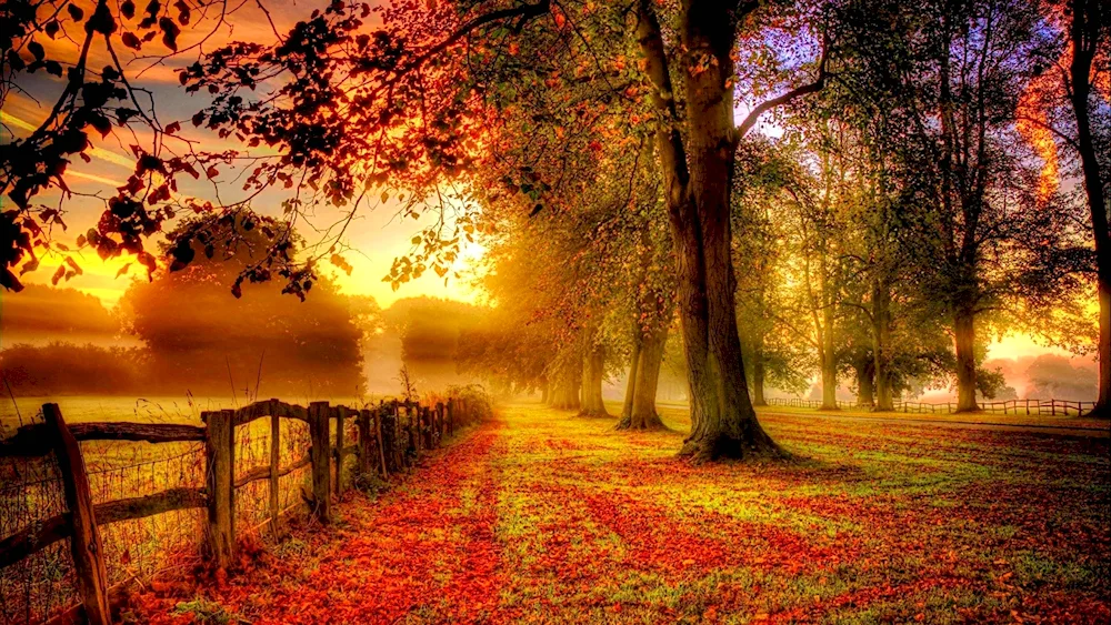 Early autumn