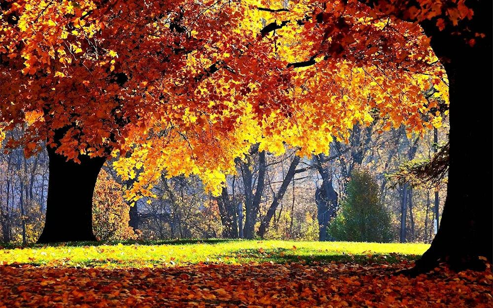 Autumn Mountain nature