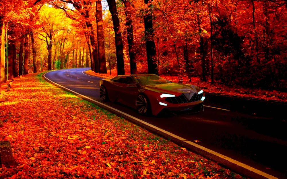 Autumn road car