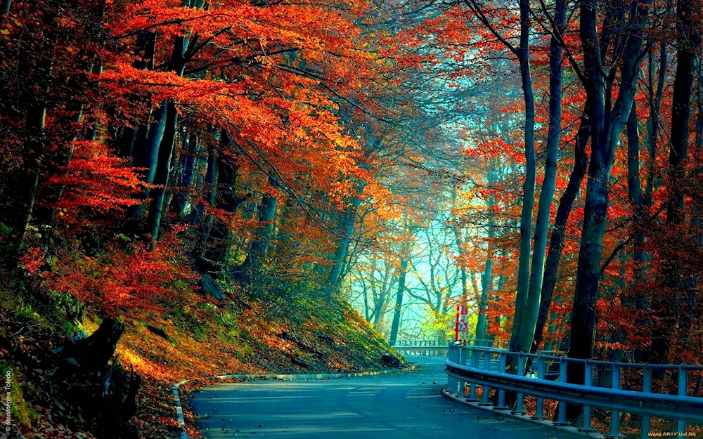 Beautiful autumn
