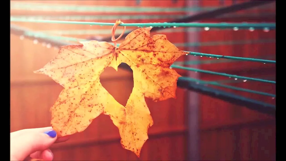 Autumn leaves and a woman in the park