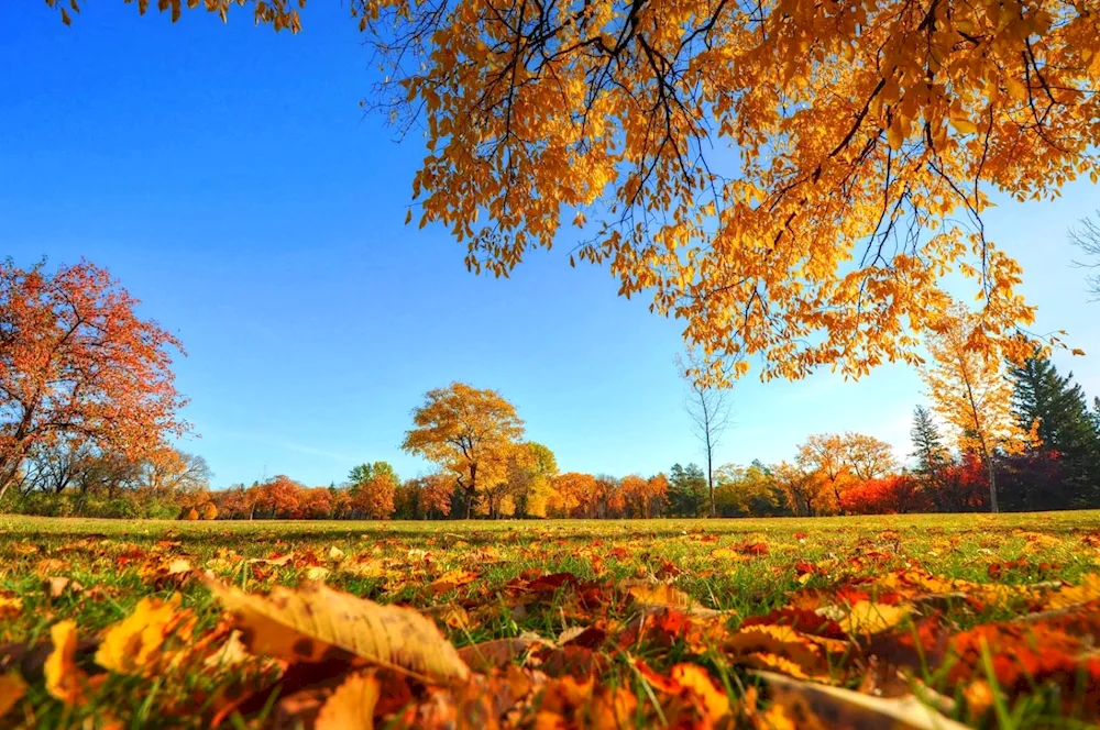 Beautiful autumn