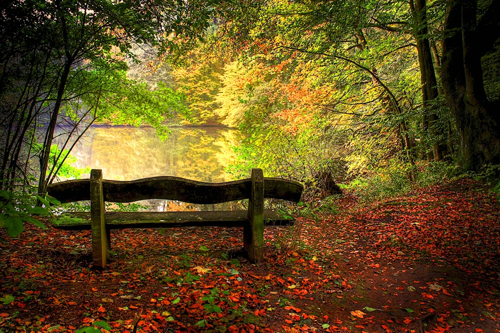 Colourful background