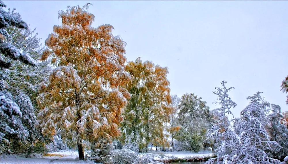 First snow