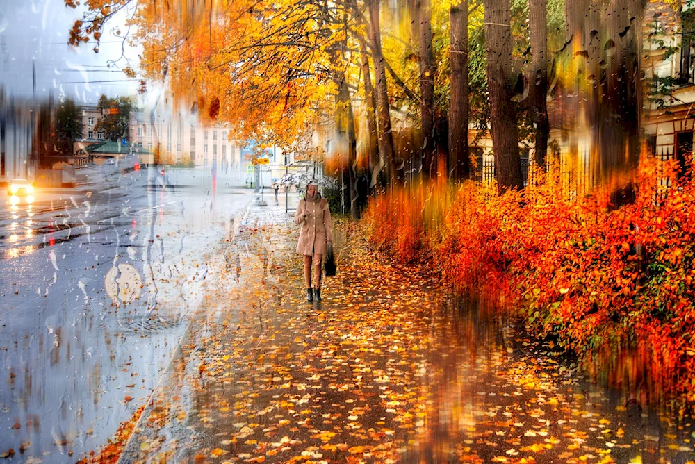 Autumn St. Petersburg Gordeev