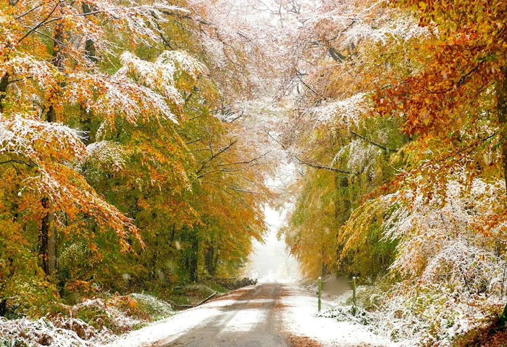 Late autumn