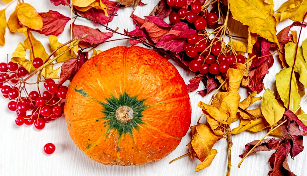 Pumpkin leaves