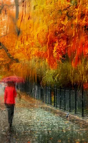 Autumn in photos by Eduard Gordeev