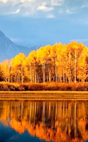 Autumn in the mountains