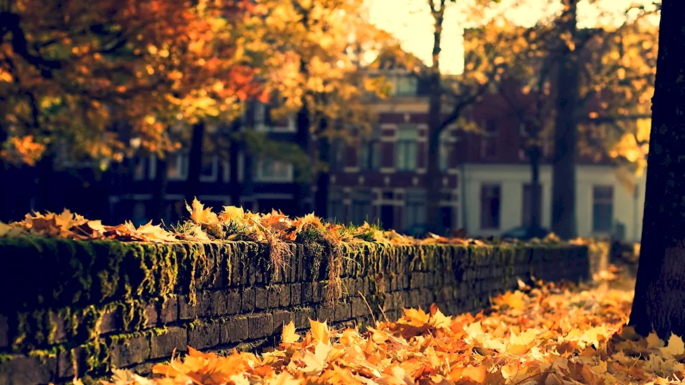 Beautiful Autumn