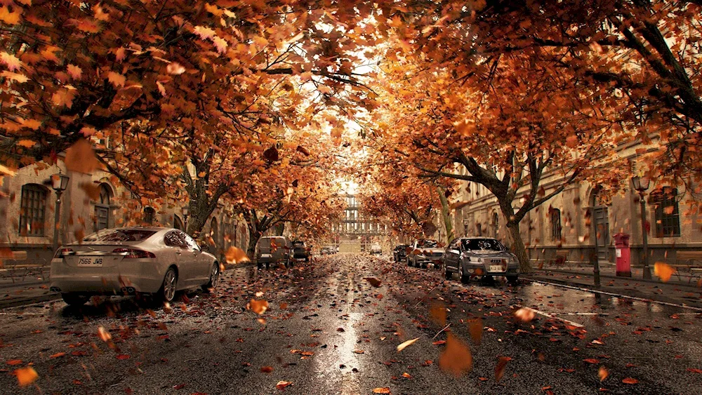 Autumn in the city