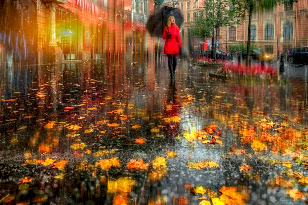 Autumn in St. Petersburg Eduard Gordeev