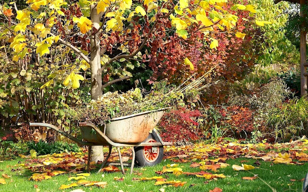 Autumn vegetable garden