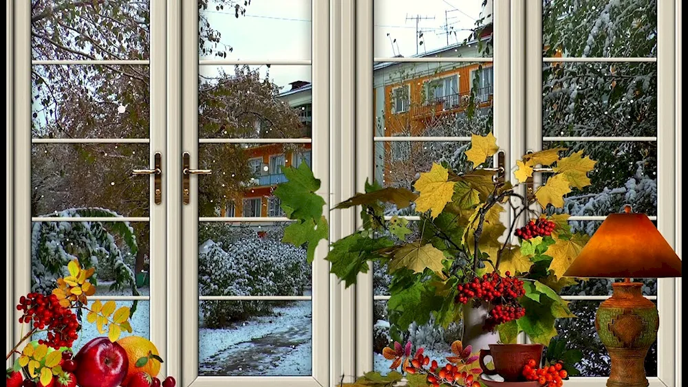 Autumn at the window