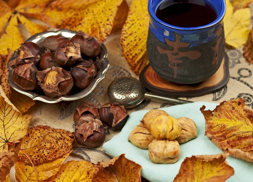 Autumn breakfast