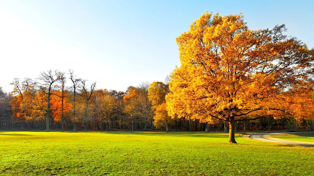 Autumn landscape