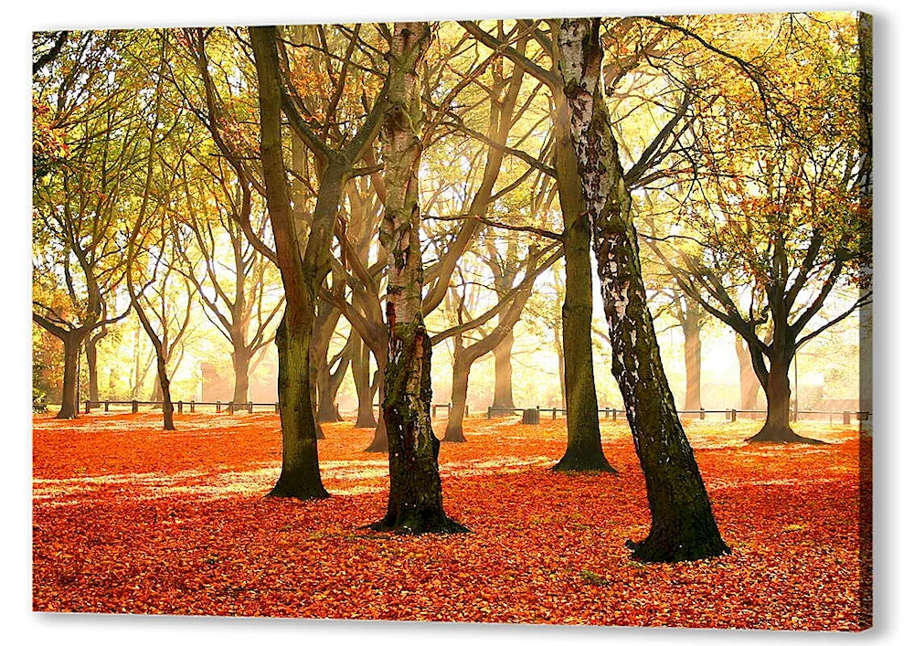 Autumn tree