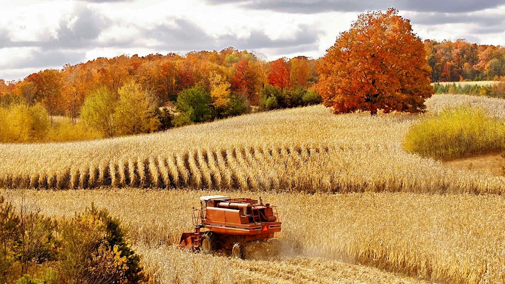 State of Vermont suburbs