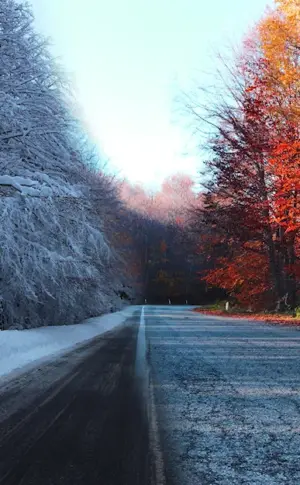 Autumn road