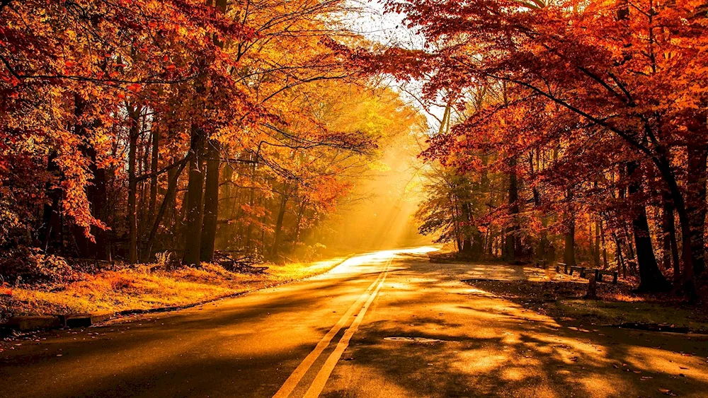 Autumn road