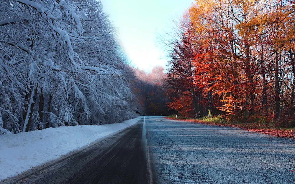 Autumn road