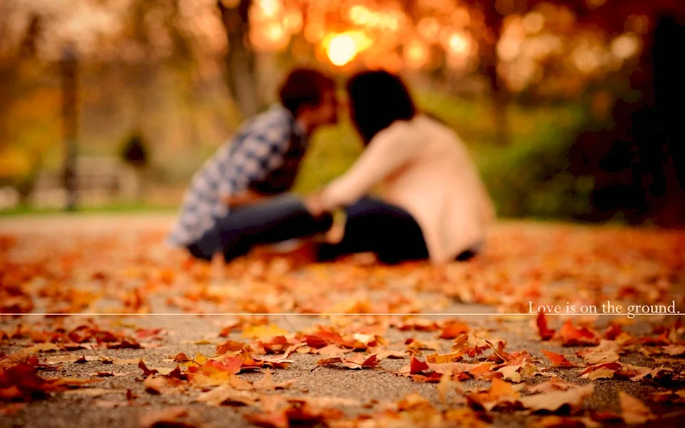 Autumn love